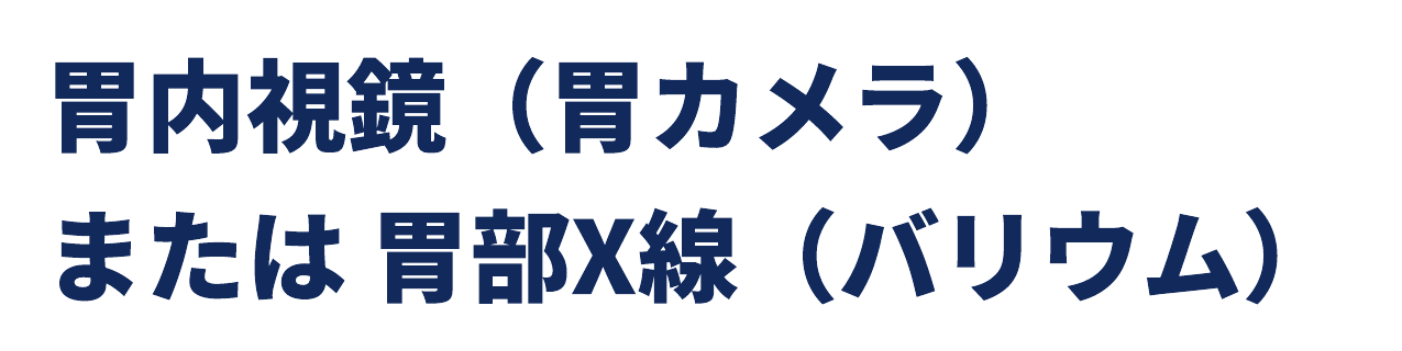 提案書サンプル抜粋。胃内視鏡（胃カメラ）または胃部X線（バリウム）。